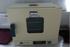 電熱恒溫鼓風干燥箱